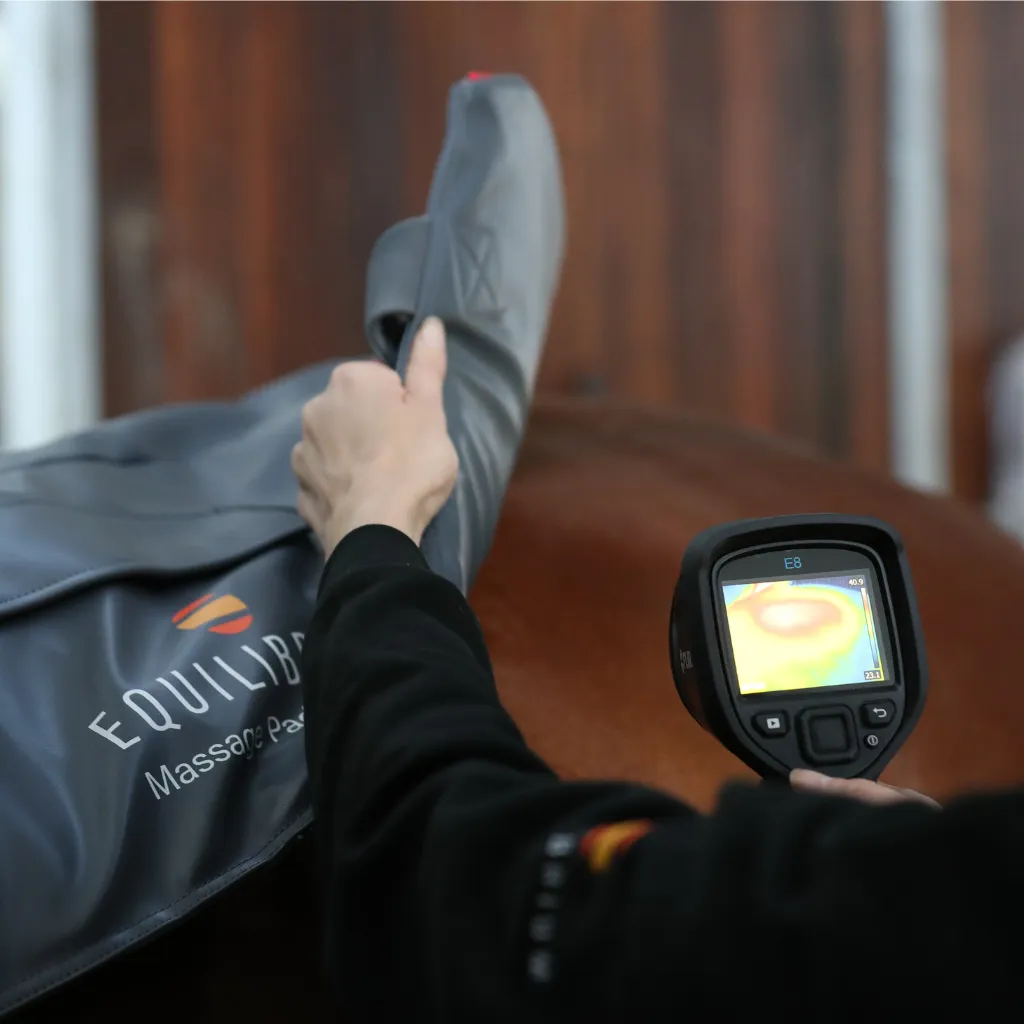 Equilibrium HeatSense Massage Pad