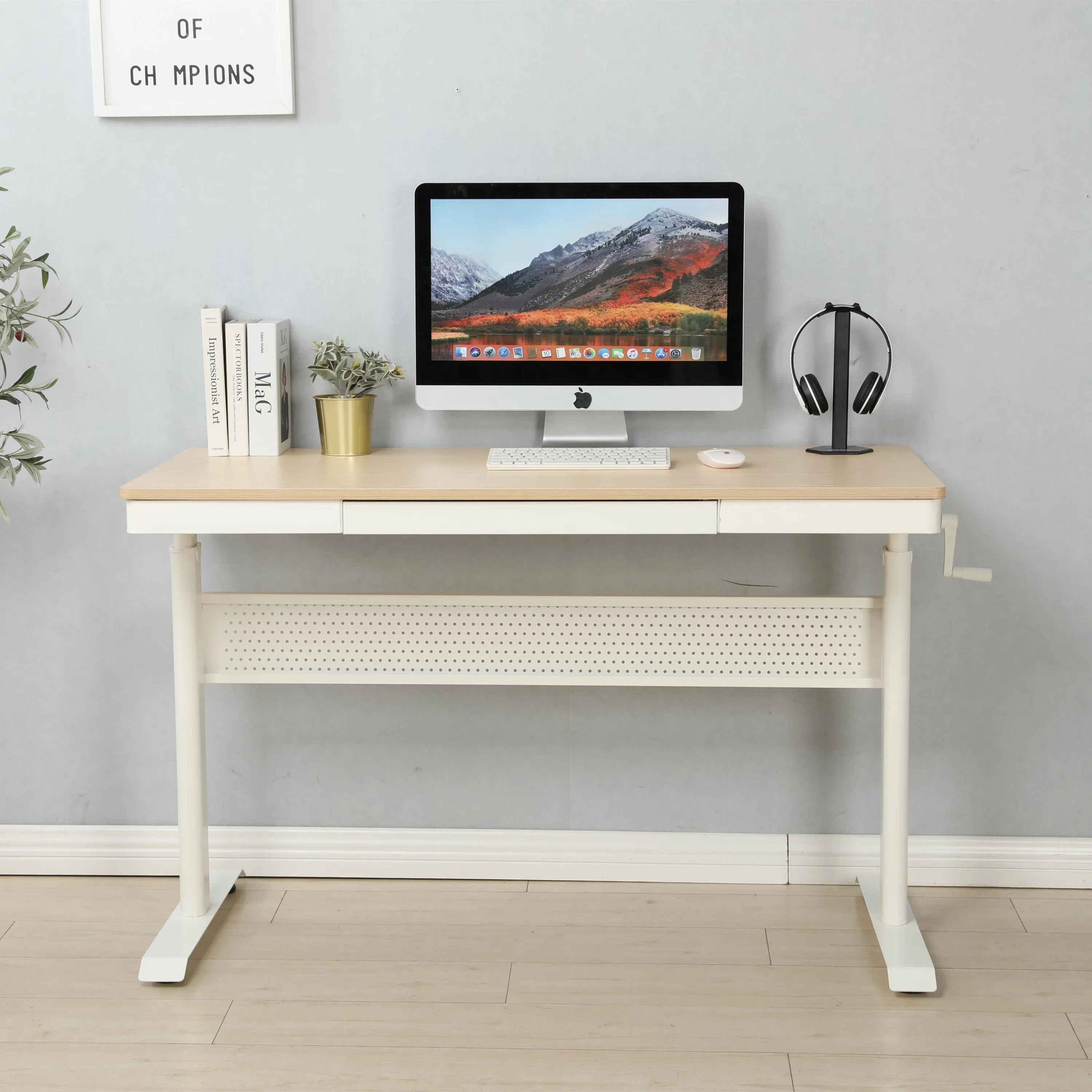 Ergonomic 48x24 Standing Desk with Metal Drawer & Adjustable Height