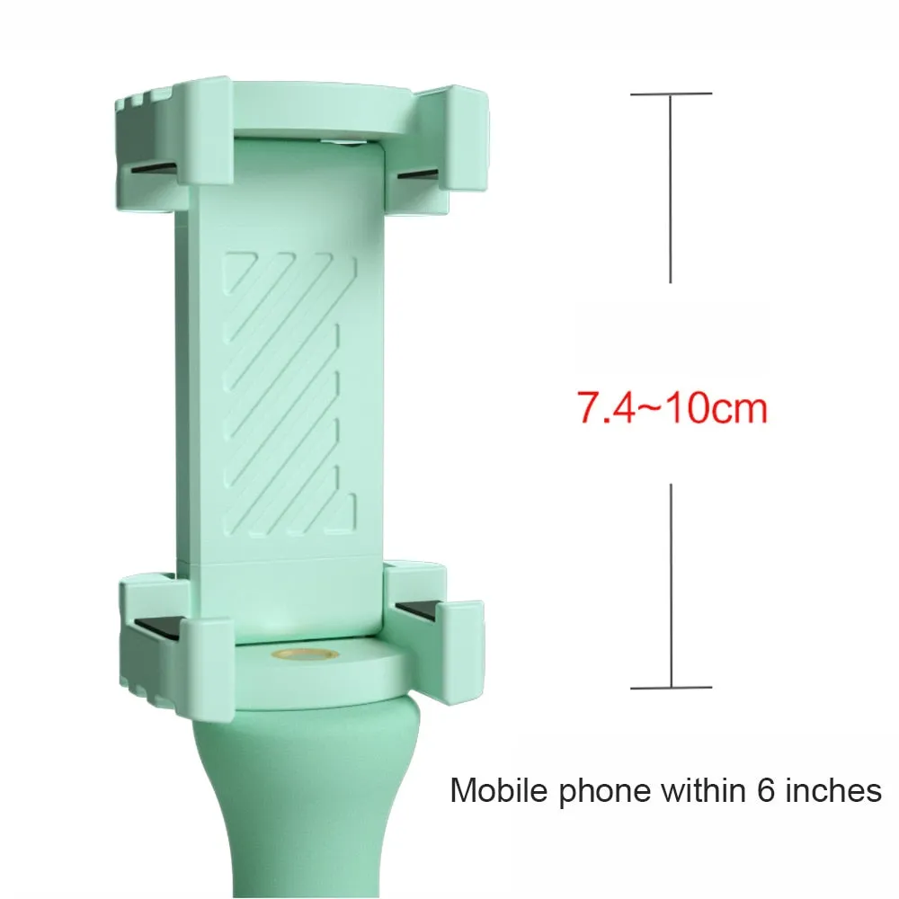 Foldable Caterpillar Phone Holder